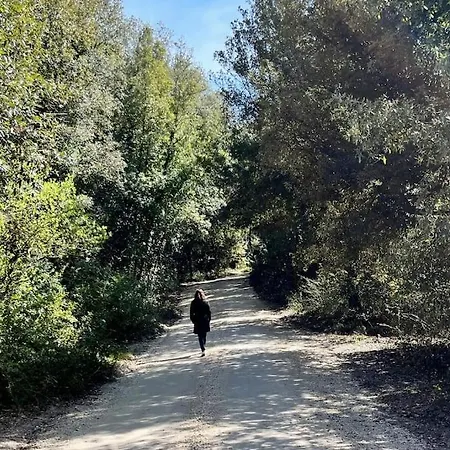 Toscano * مونتيريجيوني
